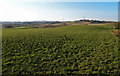 View from Barnaigh Hill