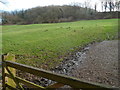 SO8707 : Field liable to flooding by Slad Brook by Jaggery