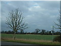 Footpath to Toneham Farm near Thorney