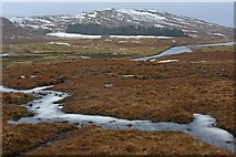 NN4795 : Boggy ground beside the River Spey by Dorothy Carse