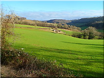 SO8707 : Slad valley viewed from the B4070 by Jaggery