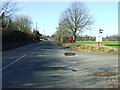 Country Road And Bridleway