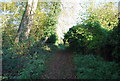 Footpath along the Great Stour