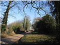 Country Lane approaching  Haddon Lane