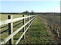 Paddock Fencing