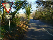 SU8809 : Road from East Lavant approaches Kennel Hill by Shazz