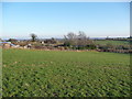 Field off Penylan Lane near Oswestry