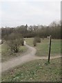 Path in Southwater Country Park