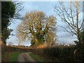 Lane north of Overday Farm