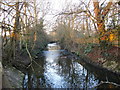 Beverley Brook by Palewell Common (3)