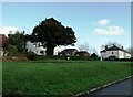 More greenery in Rushlake Green