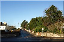 SX9164 : Bronshill Road, Torquay by Derek Harper
