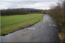 SD9153 : The River Aire near Priest Holme Bridge by Bill Boaden