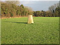 Trig point S5286 in recreation ground