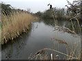 Winter on the Worcester & Birmingham Canal