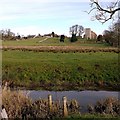 NZ0772 : Stamfordham from the River Pont by Andrew Curtis