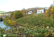 SS9993 : A glimpse of Ysbyty Cwm Rhondda viewed across the Rhondda Fawr river by Jaggery