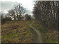 Path from Coniston Road