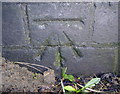 Benchmark on Thorpe Bridge (A607)