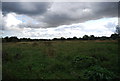 Floodplain, River Gipping