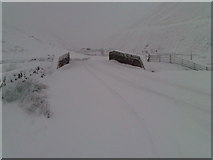 NT1814 : Tailburn Bridge on the A708 Moffat to Selkirk road by Alan O'Dowd