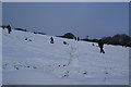 Sledging above Hazelhurst