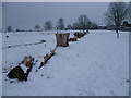 East Wickham Open Space after snow