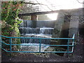 Spillway in the Greenfield Valley Heritage Park