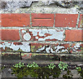 Benchmark Knowle Farm