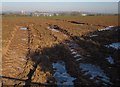 Rutted field entrance, Stoneyford