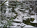 Snowy steps in Rockliffe Gardens