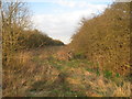 Between road and abandoned railway