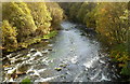 Rhondda Fawr flows away from Ystrad Rhondda railway station