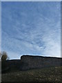 NT9953 : Berwick Castle - Curtain Wall by cathietinn