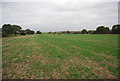 Farmland on Northward Hill