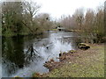 Lake bridge, Glan Llyn, Newport