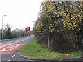 Crab-apples by the Evesham Road