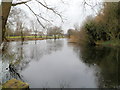 Southern side of a lake on the edge of Queen