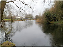 ST3586 : Southern side of a lake on the edge of Queen's Way, Newport by Jaggery