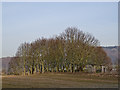 Burial ground at Dunbarney