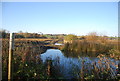 Ditch, Westbere Marshes