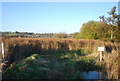 Danger deep water, Westbere Marshes