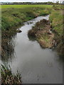 The river Stour from Mill Lane bridge