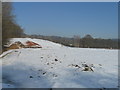 Site of former Nutbourne Brick Works