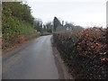 Beech Grove on Luscombe Hill