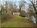 Lake footbridge, Glan Llyn, Newport