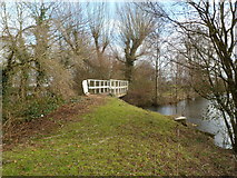 ST3586 : Lake footbridge, Glan Llyn, Newport by Jaggery