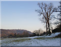 Norbury Park: the southernmost corner, after snow