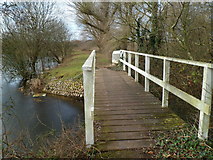ST3586 : Across a lakeside bridge, Glan Llyn, Newport by Jaggery