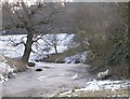 Sheep by the frozen Mole, Norbury Park